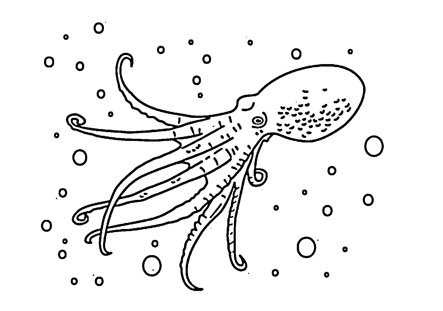 gurita Black and white pictures coloring book 020